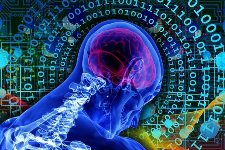 Biocomputers Rent AI Made From Human Brain Cells