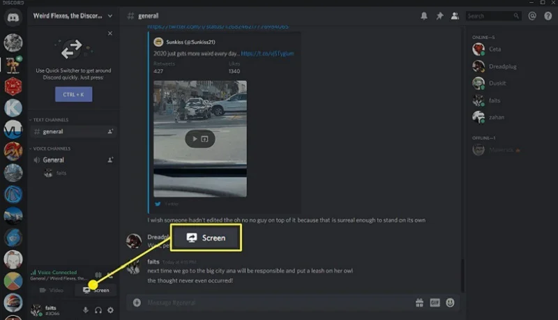 How to Share Oculus Screen on Discord